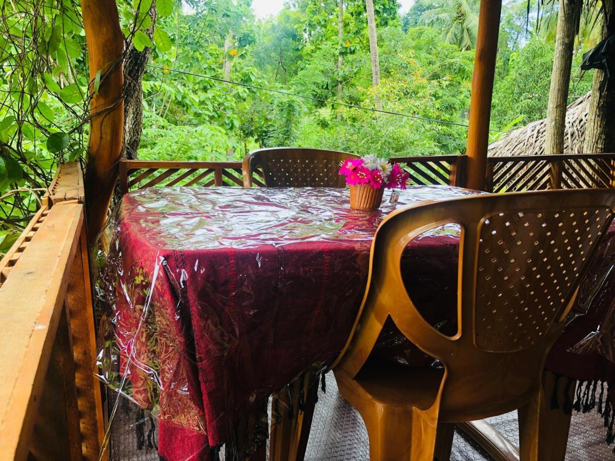 Sigiri Lion Eco Palace Sigiriya Eksteriør bilde