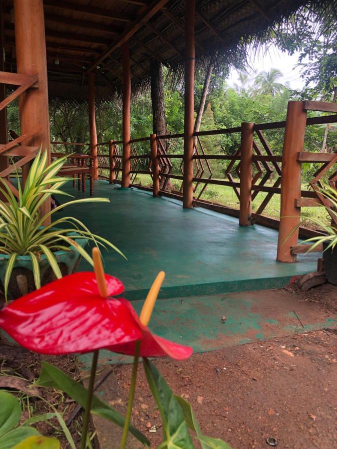 Sigiri Lion Eco Palace Sigiriya Eksteriør bilde
