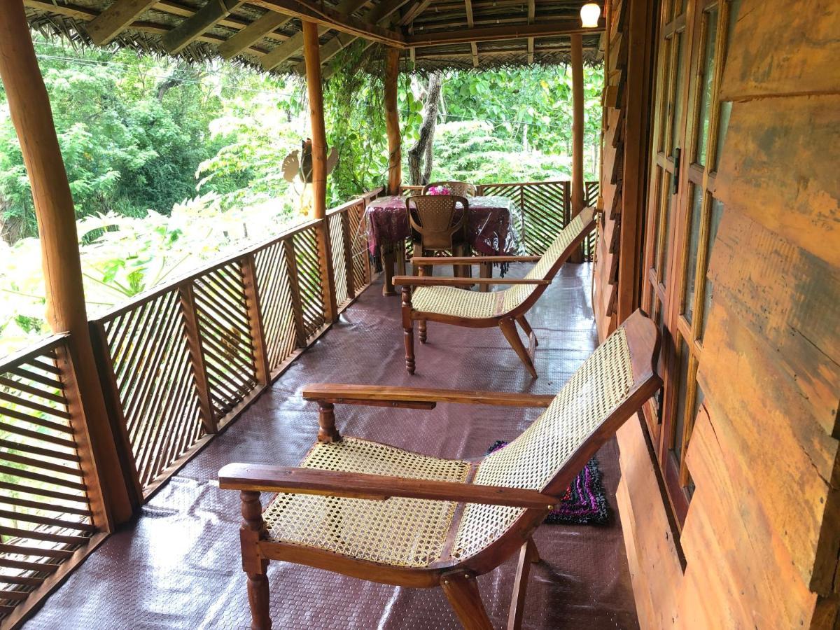 Sigiri Lion Eco Palace Sigiriya Eksteriør bilde