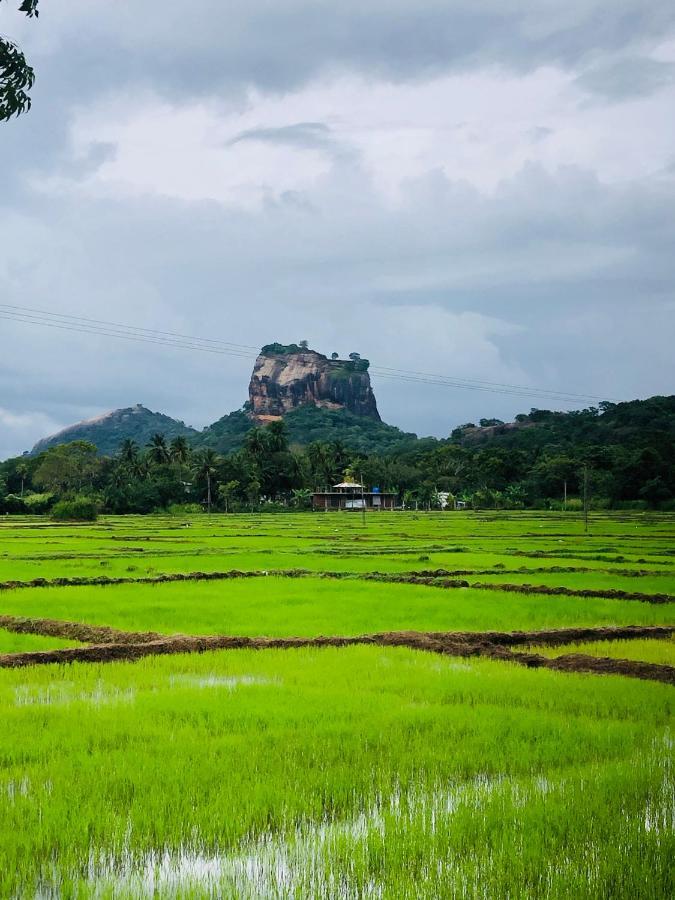 Sigiri Lion Eco Palace Sigiriya Eksteriør bilde