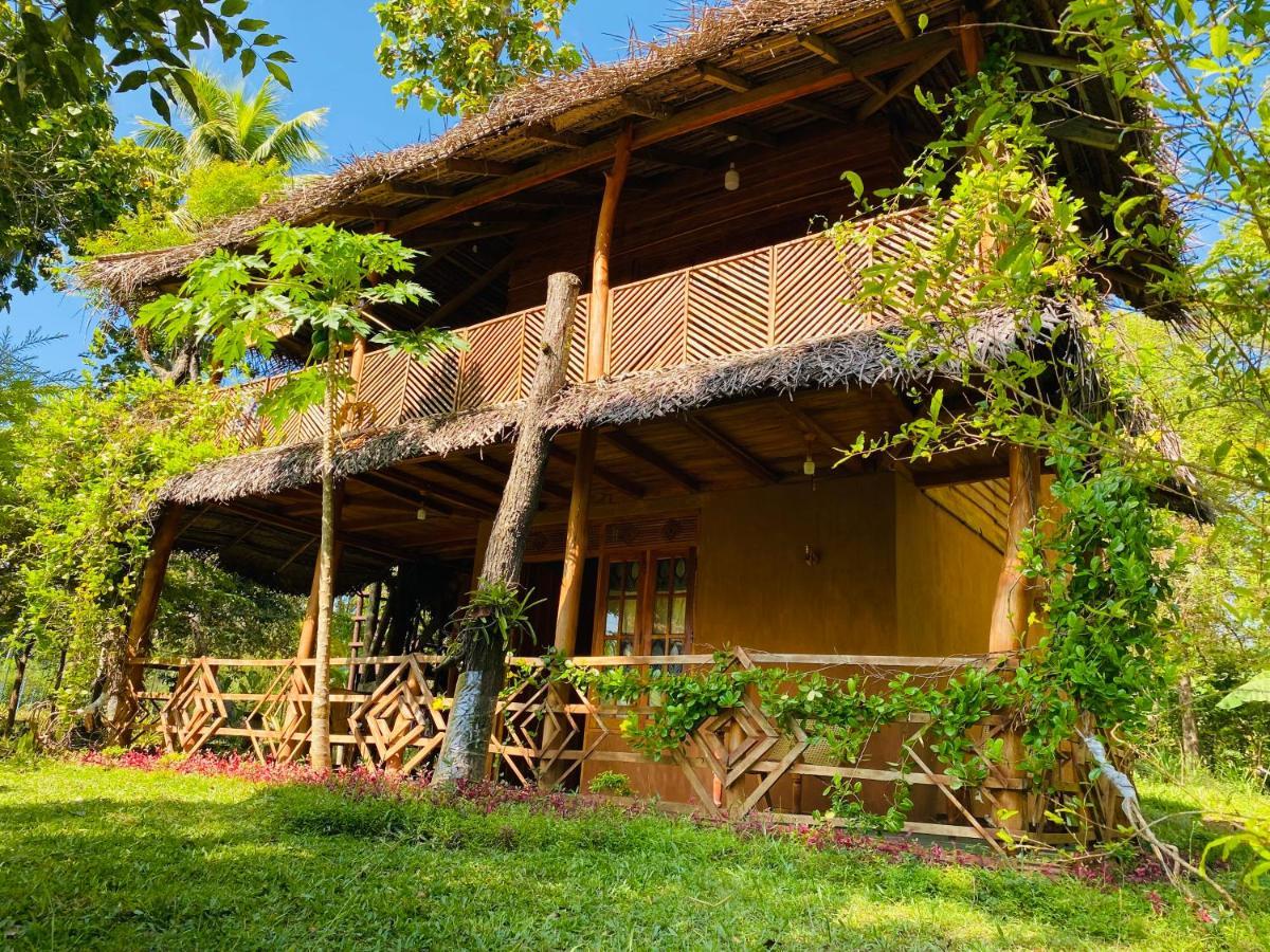 Sigiri Lion Eco Palace Sigiriya Eksteriør bilde