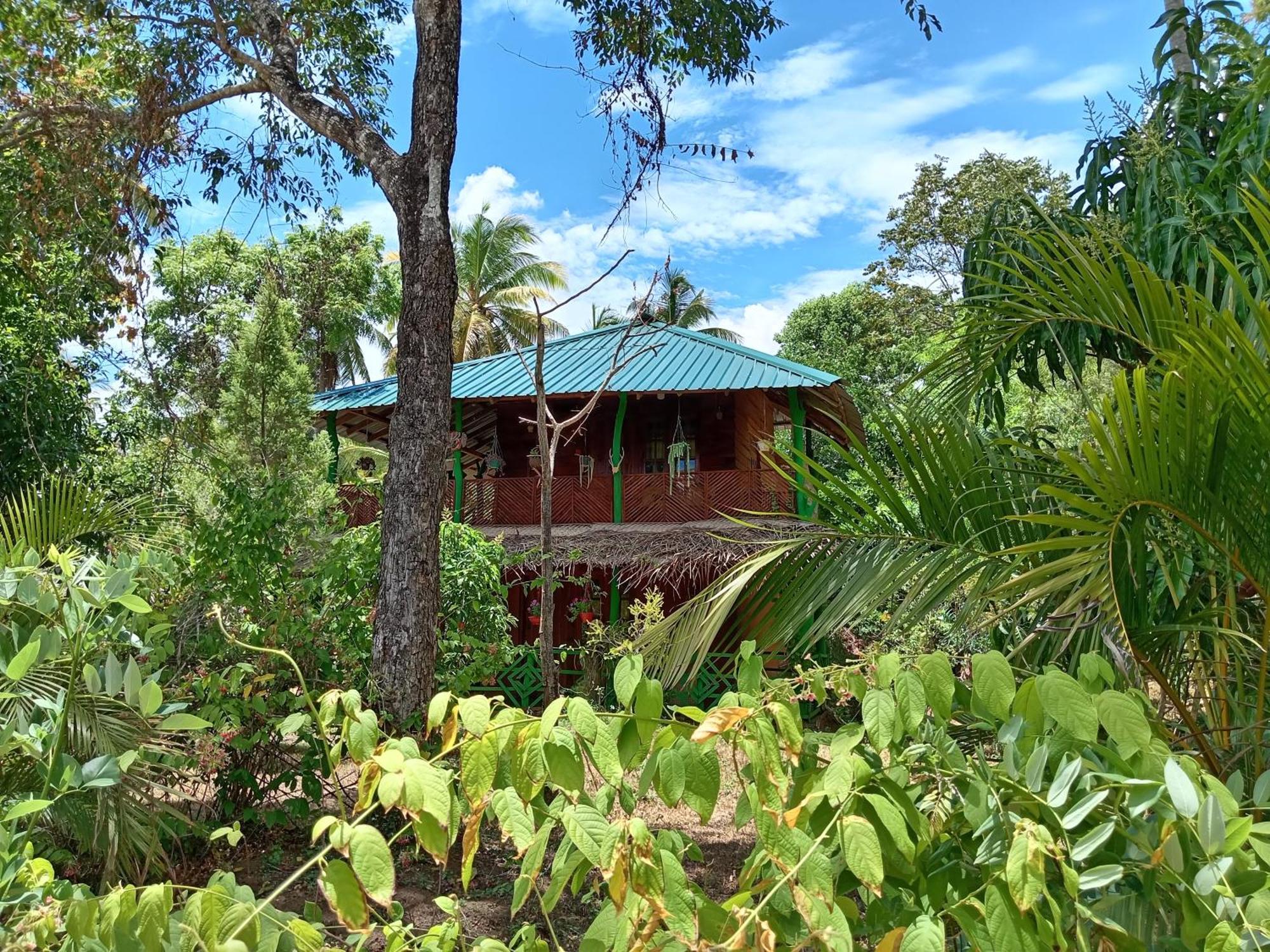 Sigiri Lion Eco Palace Sigiriya Eksteriør bilde