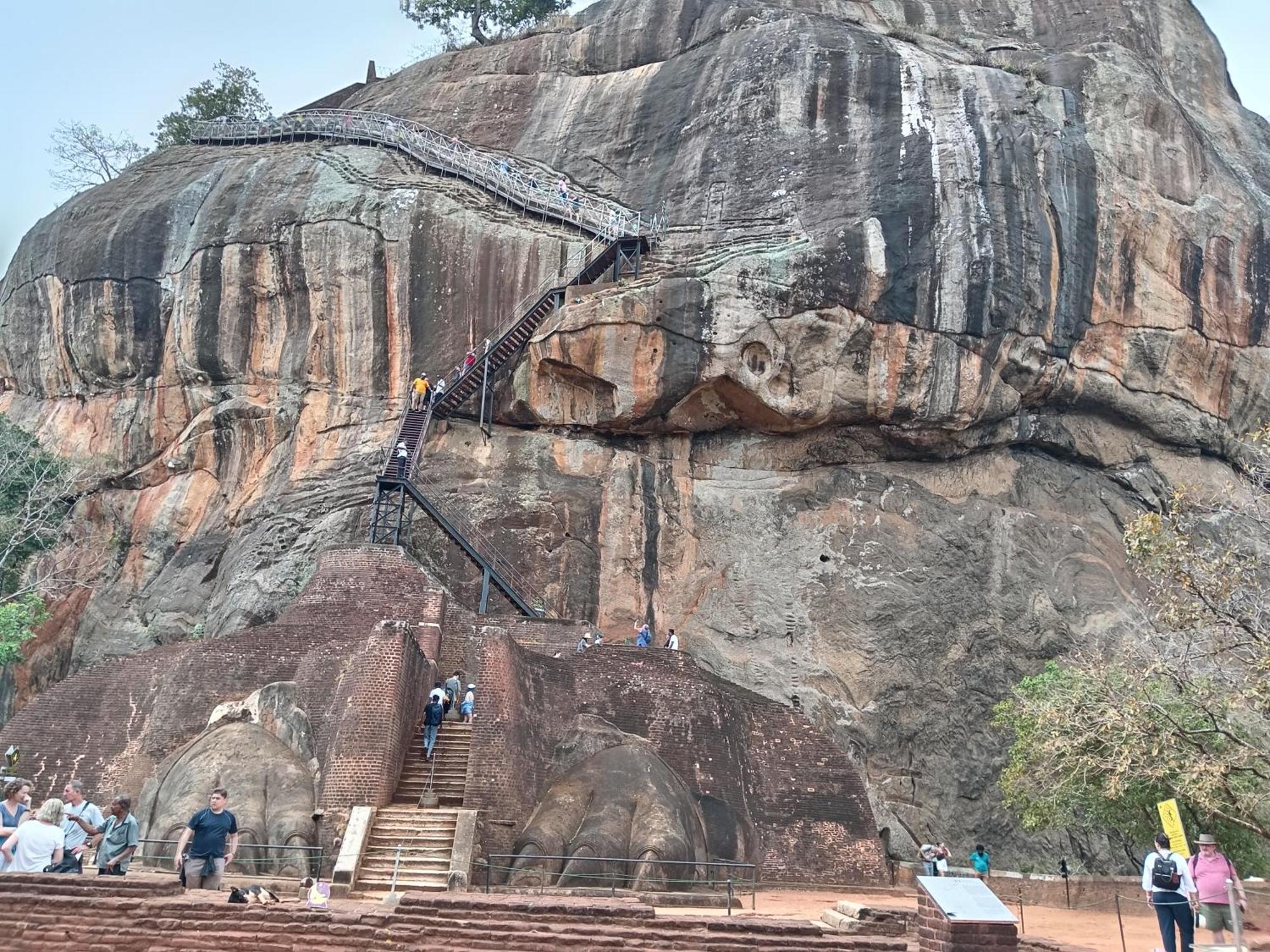 Sigiri Lion Eco Palace Sigiriya Eksteriør bilde
