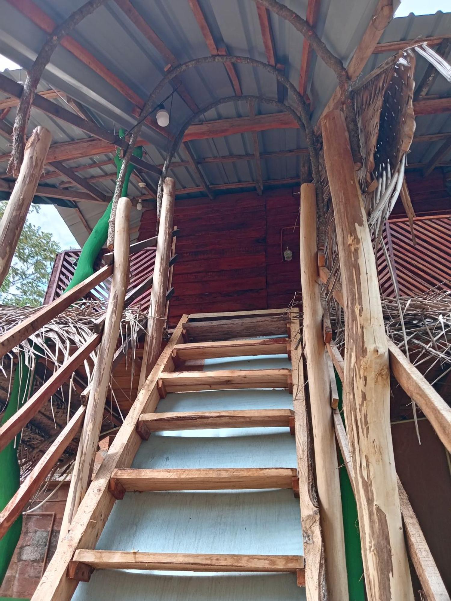Sigiri Lion Eco Palace Sigiriya Eksteriør bilde