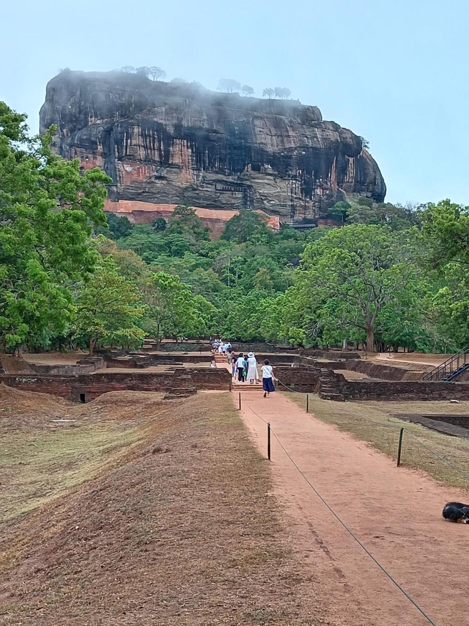 Sigiri Lion Eco Palace Sigiriya Eksteriør bilde