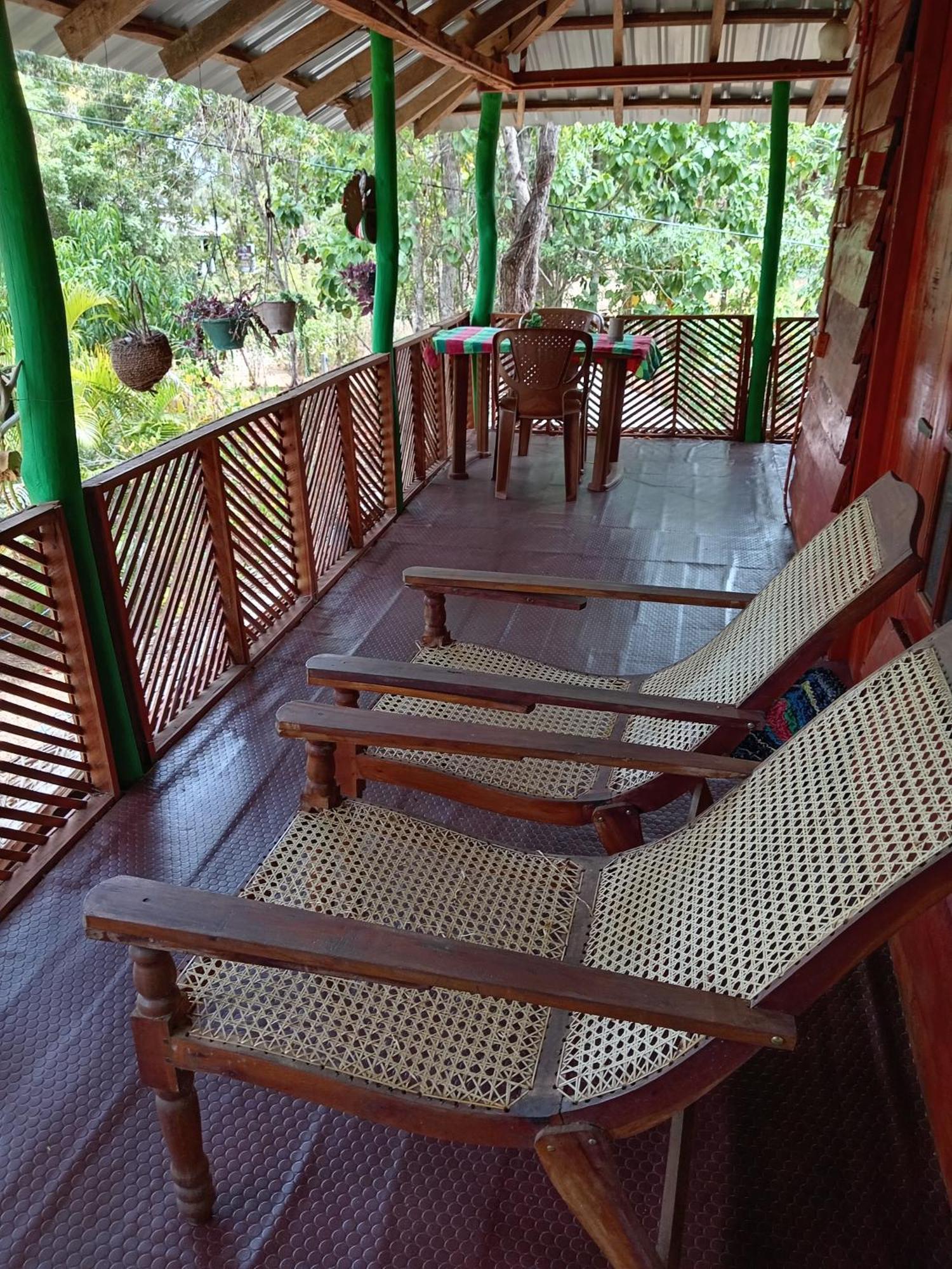 Sigiri Lion Eco Palace Sigiriya Eksteriør bilde